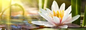 “Bless The Caregiver”